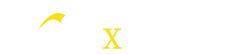 Assixtent