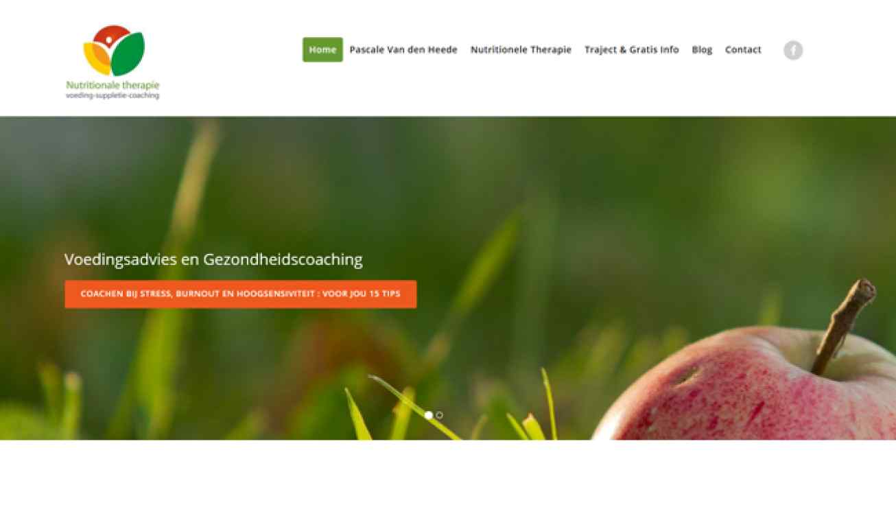 Wordpress site small business